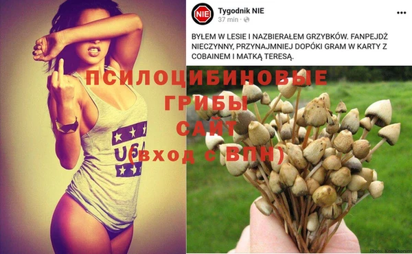 синтетический гашиш Переславль-Залесский